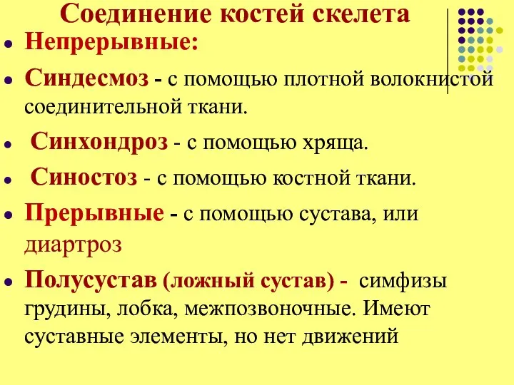 Соединение костей скелета Непрерывные: Синдесмоз - с помощью плотной волокнистой соединительной ткани.