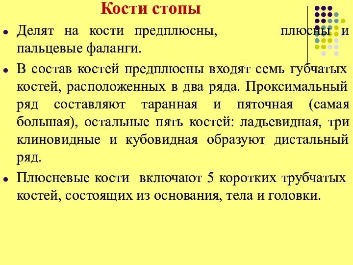 Кости стопы Делят на кости предплюсны, плюсны и пальцевые фаланги. В состав