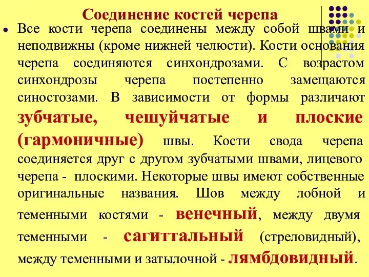 Соединение костей черепа Все кости черепа соединены между собой швами и неподвижны