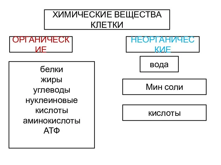 ХИМИЧЕСКИЕ ВЕЩЕСТВА КЛЕТКИ ОРГАНИЧЕСКИЕ НЕОРГАНИЧЕСКИЕ белки жиры углеводы нуклеиновые кислоты аминокислоты АТФ вода Мин соли кислоты