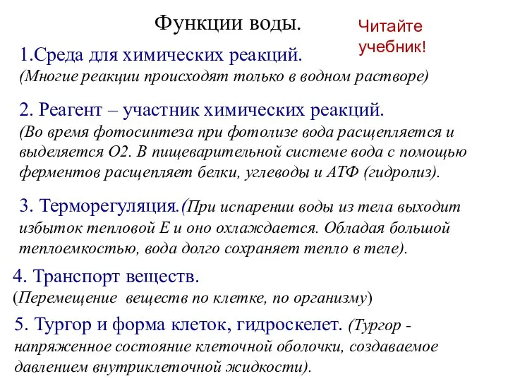 Функции воды. 1.Среда для химических реакций. (Многие реакции происходят только в водном