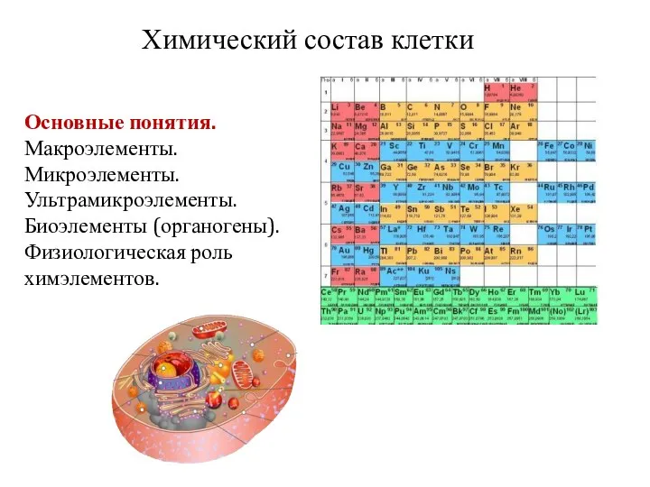 Химический состав клетки Основные понятия. Макроэлементы. Микроэлементы. Ультрамикроэлементы. Биоэлементы (органогены). Физиологическая роль химэлементов.