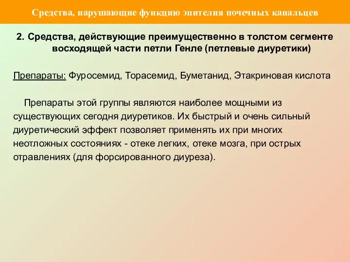 2. Средства, действующие преимущественно в толстом сегменте восходящей части петли Генле (петлевые