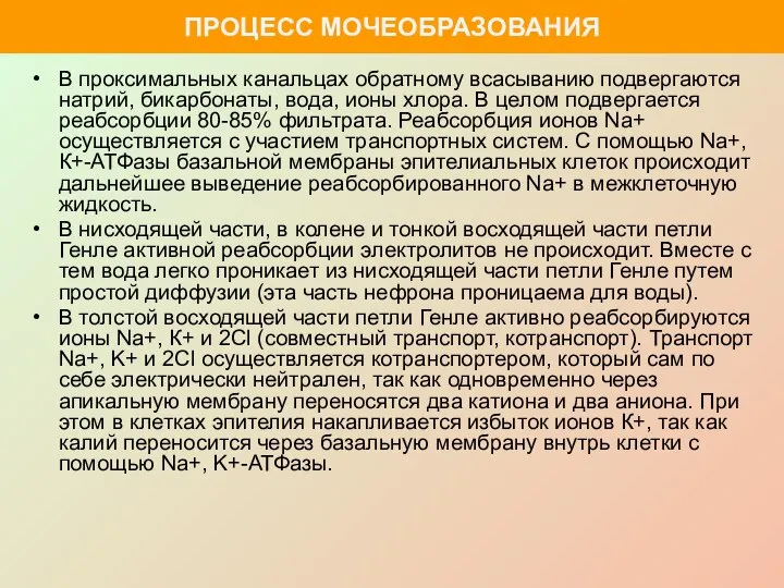 В проксимальных канальцах обратному всасыванию подвергаются натрий, бикарбонаты, вода, ионы хлора. В