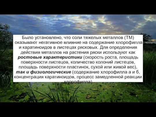 Было установлено, что соли тяжелых металлов (ТМ) оказывают негативное влияние на содержание