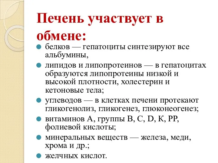 Печень участвует в обмене: белков — гепатоциты синтезируют все альбумины, липидов и