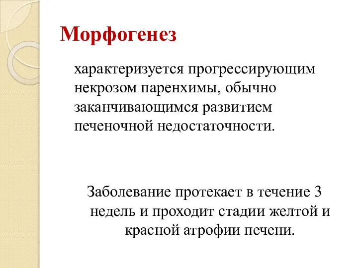 Морфогенез характеризуется прогрессирующим некрозом паренхимы, обычно заканчивающимся развитием печеночной недостаточности. Заболевание протекает