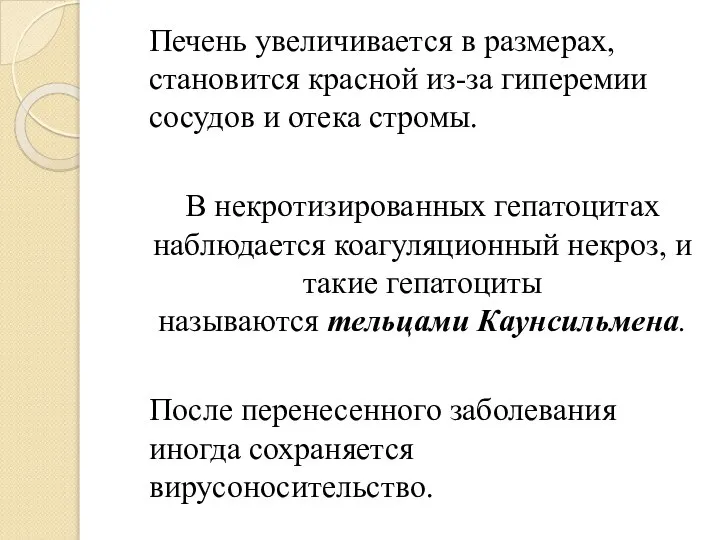 Печень увеличивается в размерах, становится красной из-за гиперемии сосудов и отека стромы.