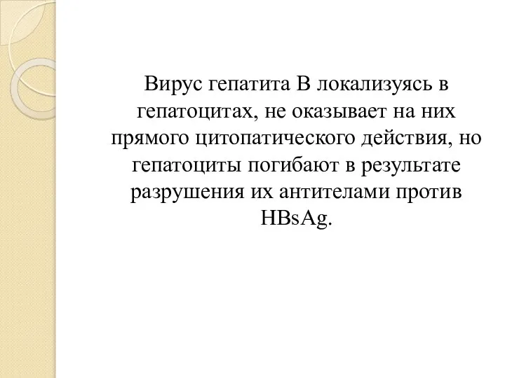 Вирус гепатита В локализуясь в гепатоцитах, не оказывает на них прямого цитопатического