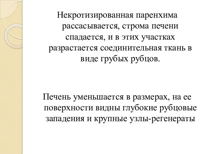 Некротизированная паренхима рассасывается, строма печени спадается, и в этих участках разрастается соединительная