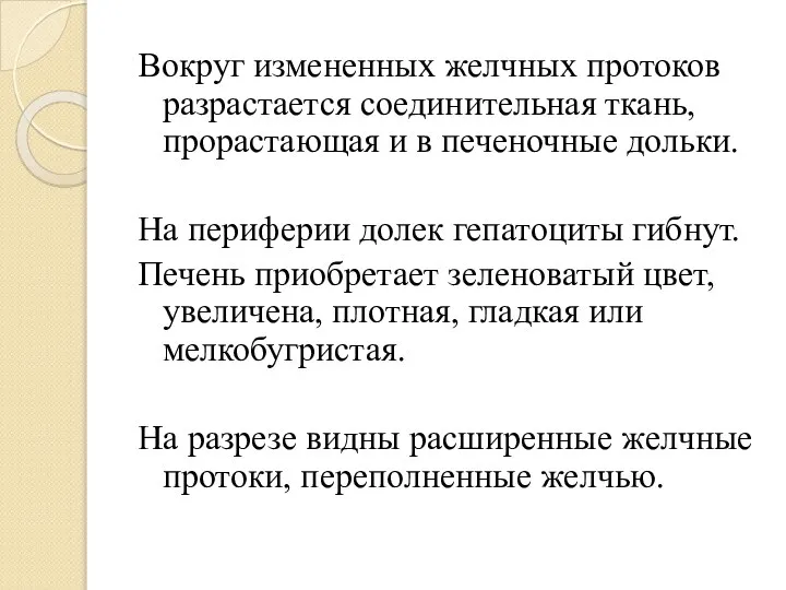 Вокруг измененных желчных протоков разрастается соединительная ткань, прорастающая и в печеночные дольки.