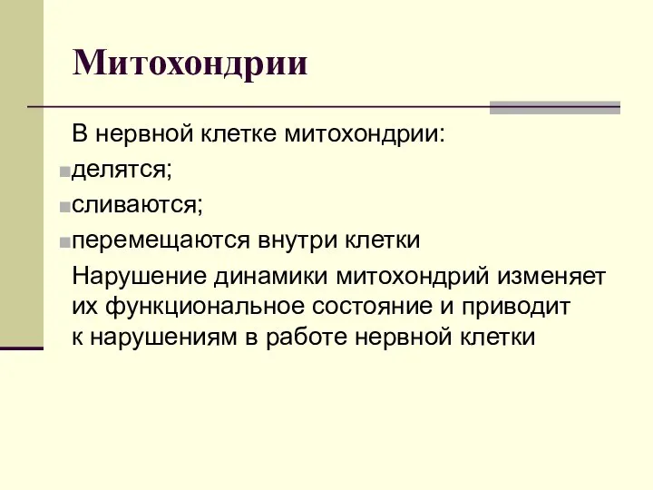 Митохондрии В нервной клетке митохондрии: делятся; сливаются; перемещаются внутри клетки Нарушение динамики