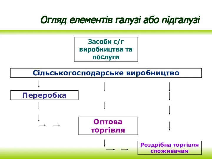 Огляд елементів галузі або підгалузі