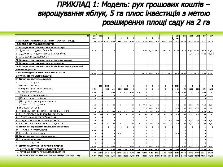 ПРИКЛАД 1: Модель: рух грошових коштів – вирощування яблук, 5 га плюс