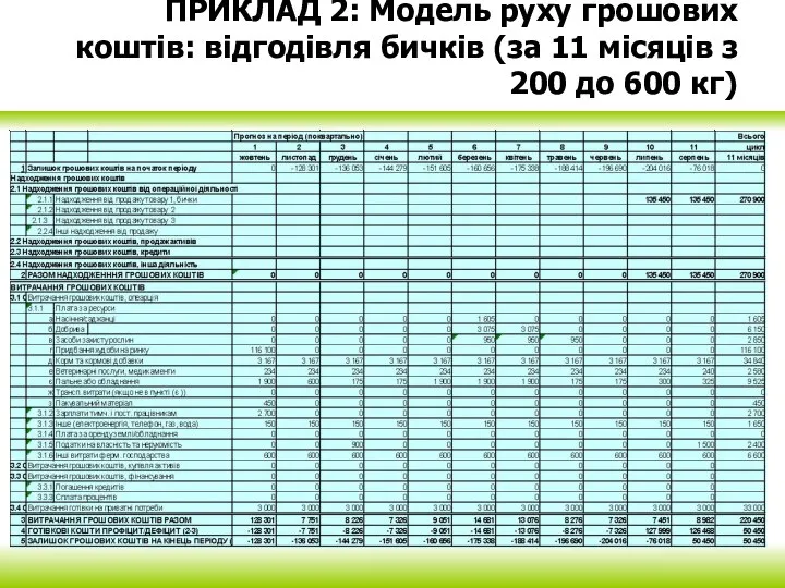 ПРИКЛАД 2: Модель руху грошових коштів: відгодівля бичків (за 11 місяців з 200 до 600 кг)