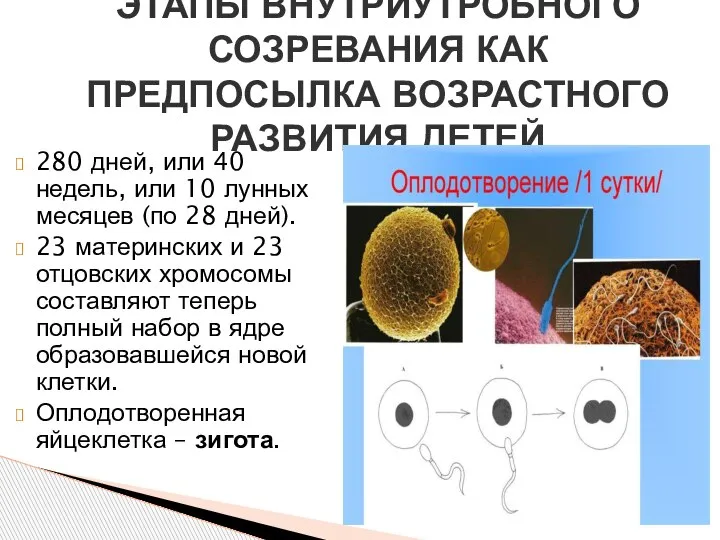 280 дней, или 40 недель, или 10 лунных месяцев (по 28 дней).