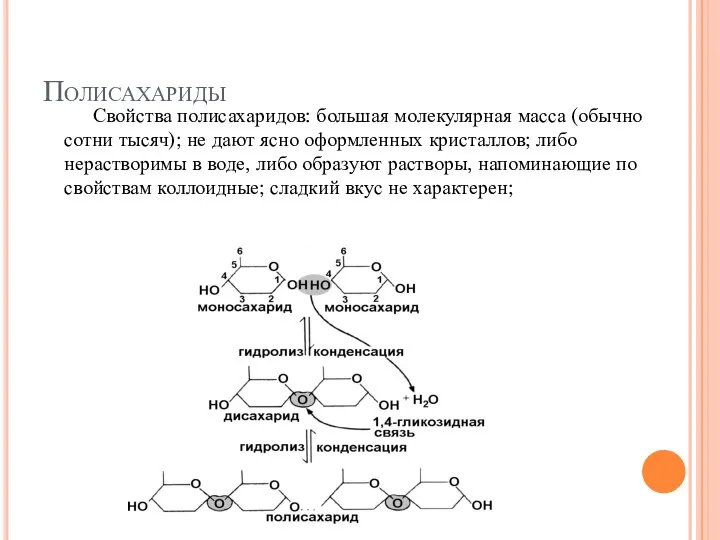 Полисахариды Свойства полисахаридов: большая молекулярная масса (обычно сотни тысяч); не дают ясно