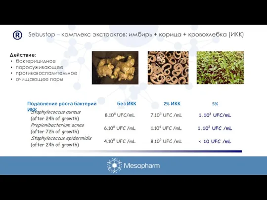 Sebustop – комплекс экстрактов: имбирь + корица + кровохлебка (ИКК) Подавление роста