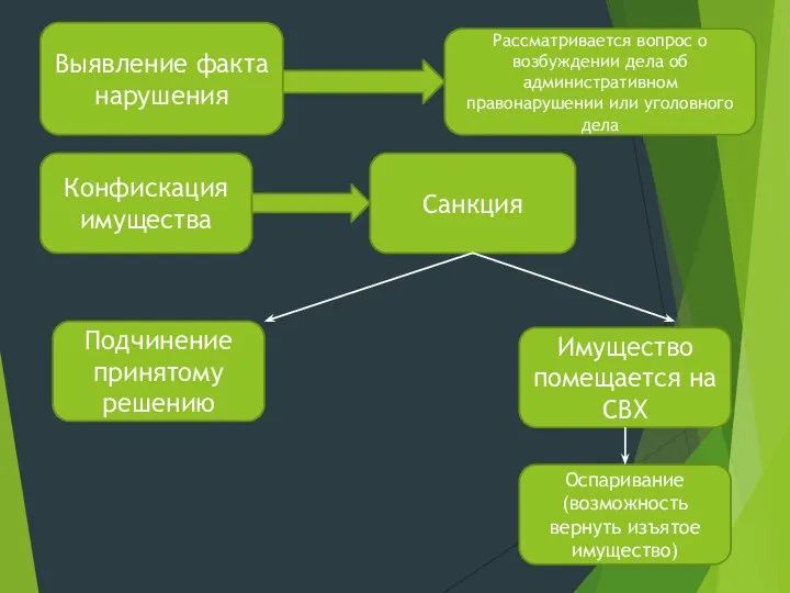 Имущество помещается на СВХ Выявление факта нарушения Рассматривается вопрос о возбуждении дела