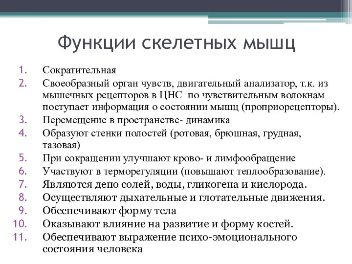 Функции скелетных мышц Сократительная Своеобразный орган чувств, двигательный анализатор, т.к. из мышечных