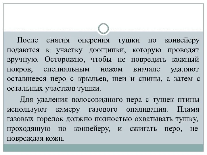 После снятия оперения тушки по конвейеру подаются к участку доощипки, которую проводят