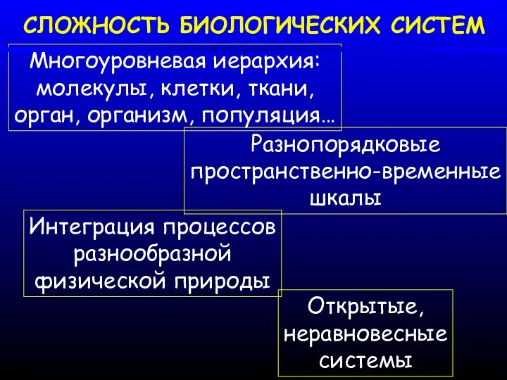 Многоуровневая иерархия: молекулы, клетки, ткани, орган, организм, популяция… СЛОЖНОСТЬ БИОЛОГИЧЕСКИХ СИСТЕМ Разнопорядковые