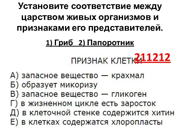 Установите соответствие между царством живых организмов и признаками его представителей. 1) Гриб 2) Папоротник 211212