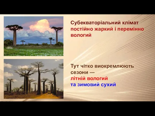 Субекваторіальний клімат постійно жаркий і перемінно вологий Тут чітко виокремлюють сезони ―