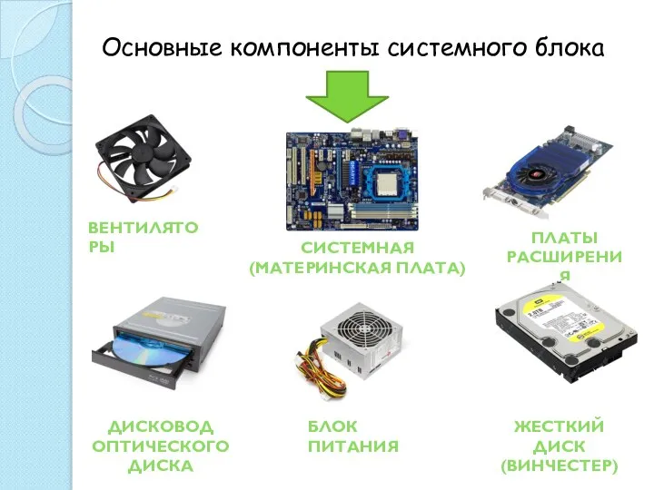 Основные компоненты системного блока СИСТЕМНАЯ (МАТЕРИНСКАЯ ПЛАТА) ЖЕСТКИЙ ДИСК (ВИНЧЕСТЕР) БЛОК ПИТАНИЯ