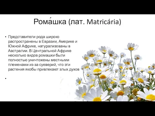 Представители рода широко распространены в Евразии, Америке и Южной Африке, натурализованы в