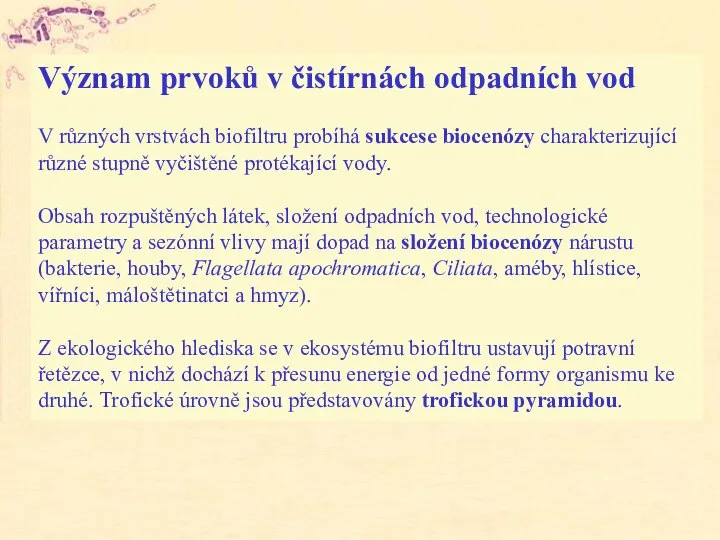 Význam prvoků v čistírnách odpadních vod V různých vrstvách biofiltru probíhá sukcese