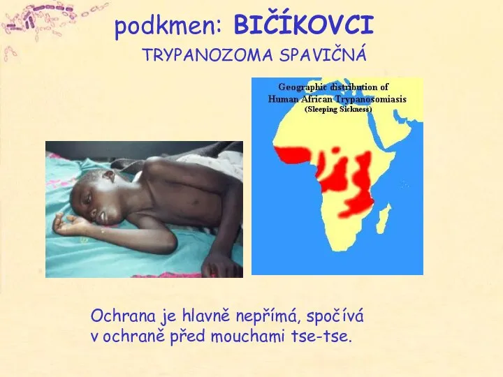 Ochrana je hlavně nepřímá, spočívá v ochraně před mouchami tse-tse. podkmen: BIČÍKOVCI TRYPANOZOMA SPAVIČNÁ