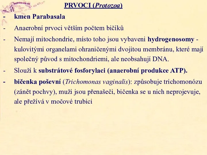 PRVOCI (Protozoa) kmen Parabasala Anaerobní prvoci větším počtem bičíků Nemají mitochondrie, místo