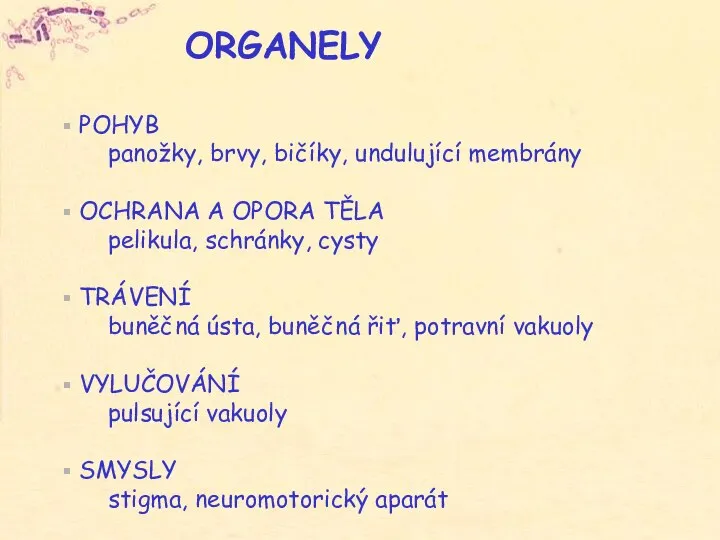 ORGANELY POHYB panožky, brvy, bičíky, undulující membrány OCHRANA A OPORA TĚLA pelikula,