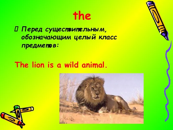 the Перед существительным, обозначающим целый класс предметов: The lion is a wild animal.