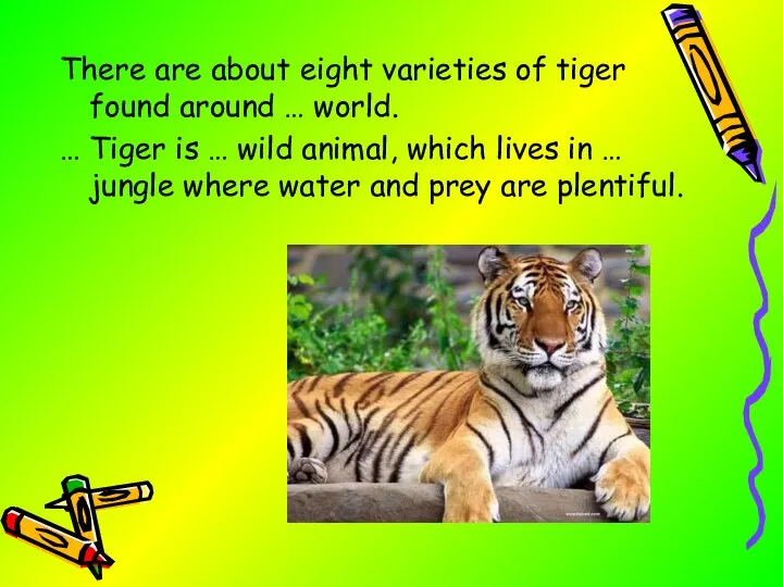 There are about eight varieties of tiger found around … world. …