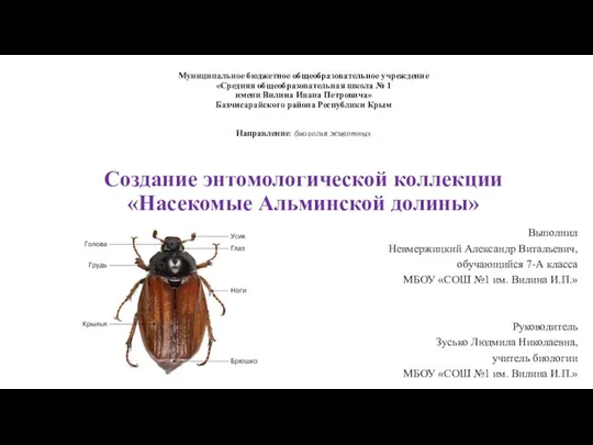 Невмержицкий, биология животных, Создание коллекции насекомых (1)