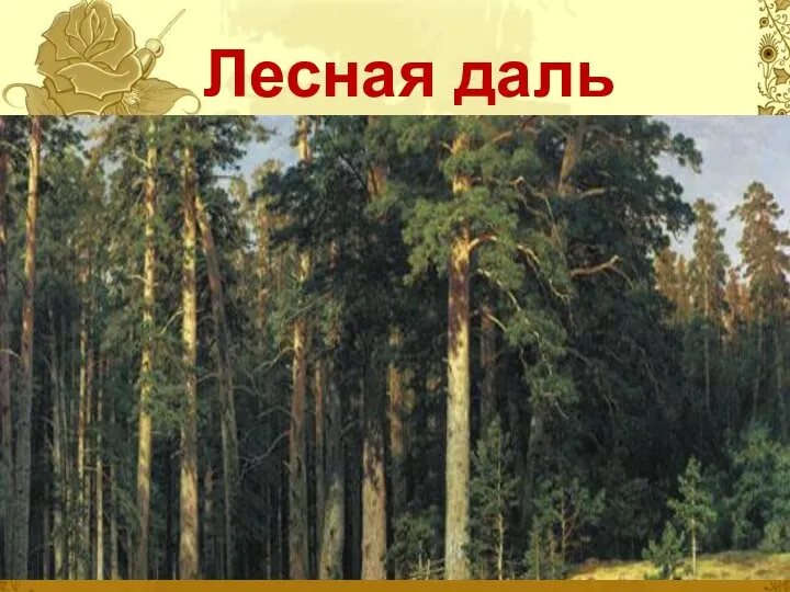 Лесная даль