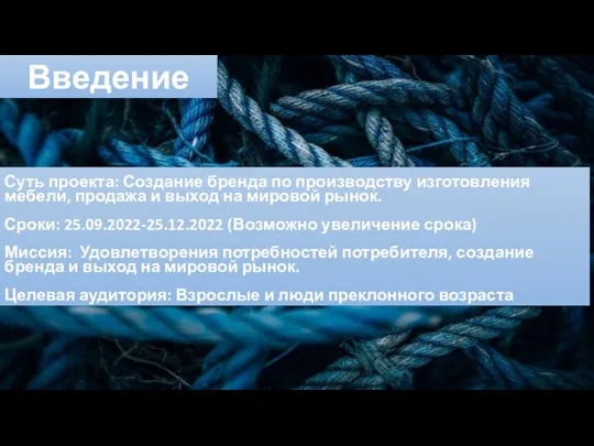 Введение Суть проекта: Создание бренда по производству изготовления мебели, продажа и выход