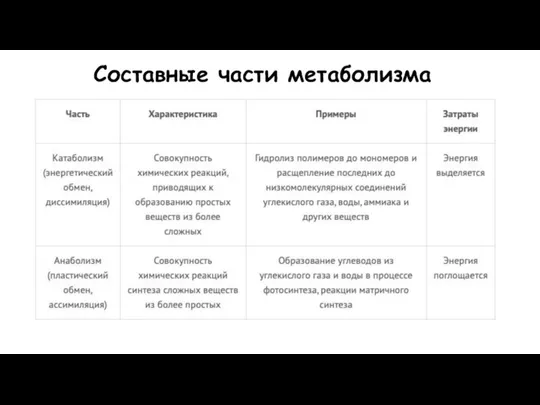 Составные части метаболизма