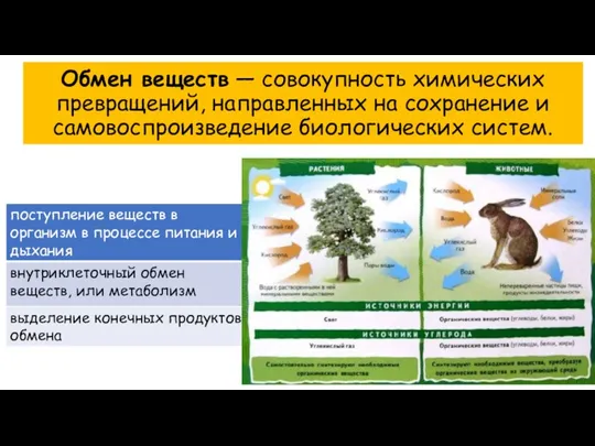 Обмен веществ — совокупность химических превращений, направленных на сохранение и самовоспроизведение биологических систем.