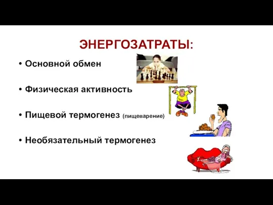 ЭНЕРГОЗАТРАТЫ: Основной обмен Физическая активность Пищевой термогенез (пищеварение) Необязательный термогенез