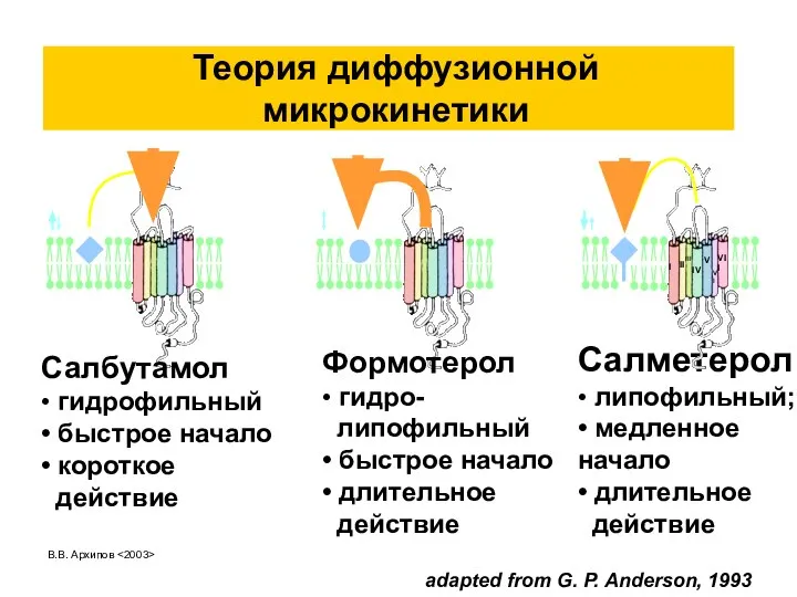 В.В. Архипов Теория диффузионной микрокинетики adapted from G. P. Anderson, 1993