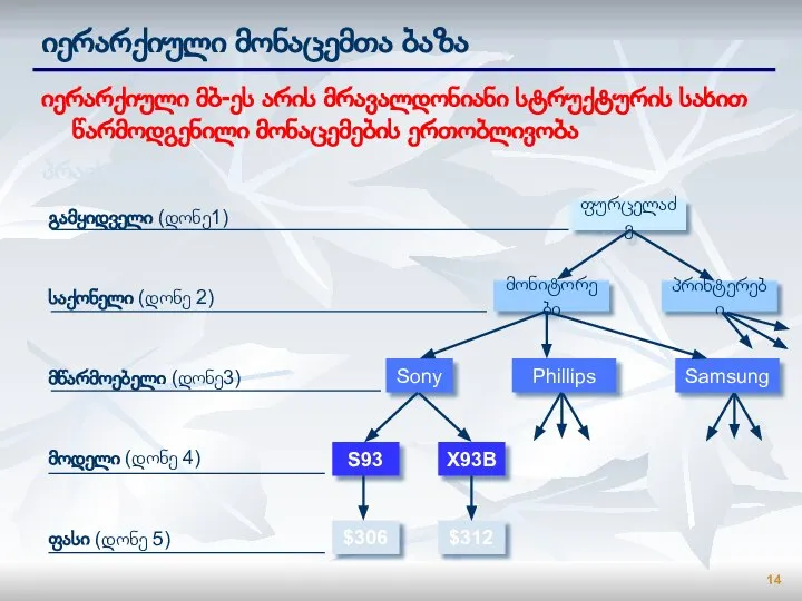 იერარქიული მონაცემთა ბაზა იერარქიული მბ-ეს არის მრავალდონიანი სტრუქტურის სახით წარმოდგენილი მონაცემების ერთობლივობა