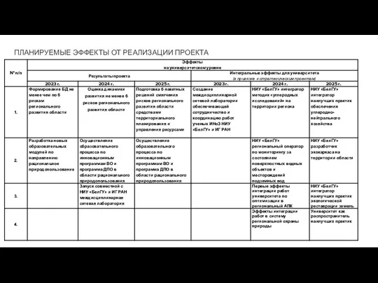 ПЛАНИРУЕМЫЕ ЭФФЕКТЫ ОТ РЕАЛИЗАЦИИ ПРОЕКТА