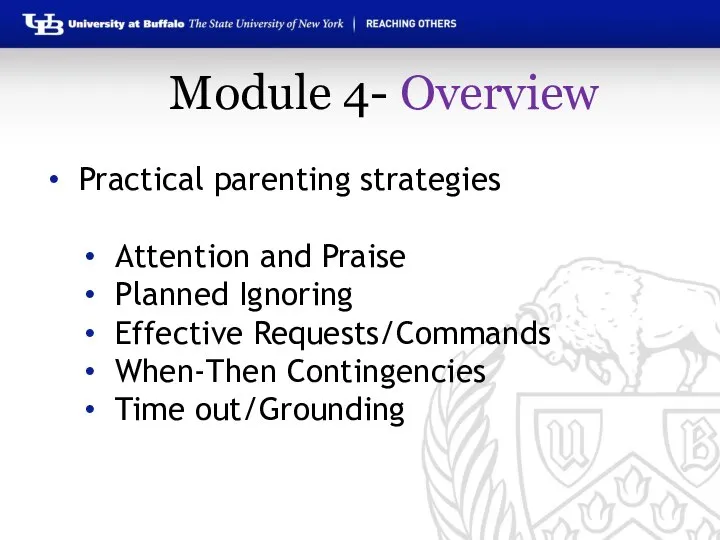 Practical parenting strategies Attention and Praise Planned Ignoring Effective Requests/Commands When-Then Contingencies