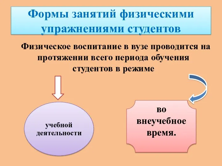 Формы занятий физическими упражнениями студентов Физическое воспитание в вузе проводится на протяжении