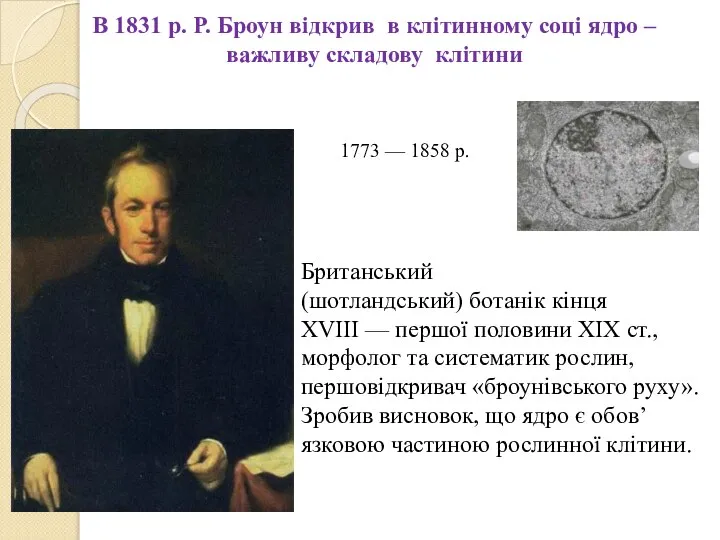 В 1831 р. Р. Броун відкрив в клітинному соці ядро – важливу