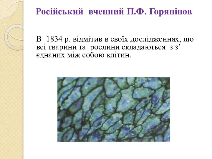 Російський вченний П.Ф. Горянінов В 1834 р. відмітив в своїх дослідженнях, що