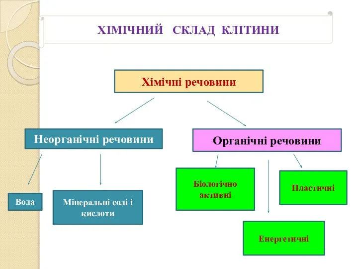 ХІМІЧНИЙ СКЛАД КЛІТИНИ Хімічні речовини Неорганічні речовини Органічні речовини Вода Мінеральні солі